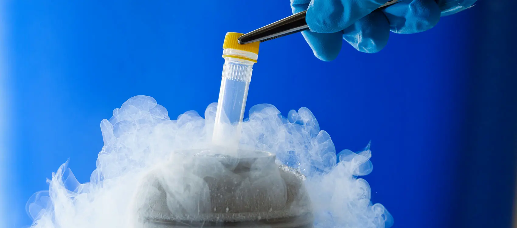 What is cryopreservation